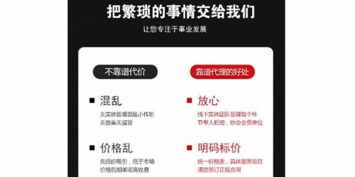 商務(wù)代理代辦服務(wù) 企業(yè)高效運營的加速器